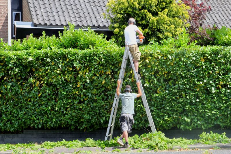 Hedge Maintenance detail