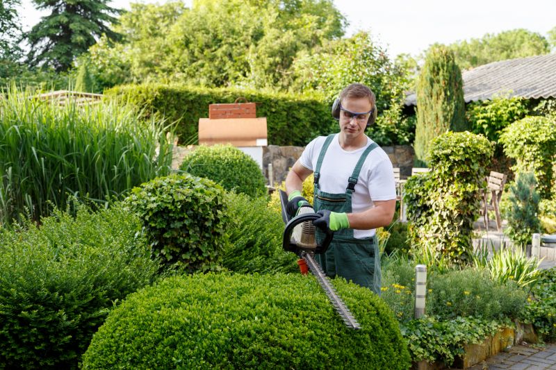 Contact About Hedge Maintenance